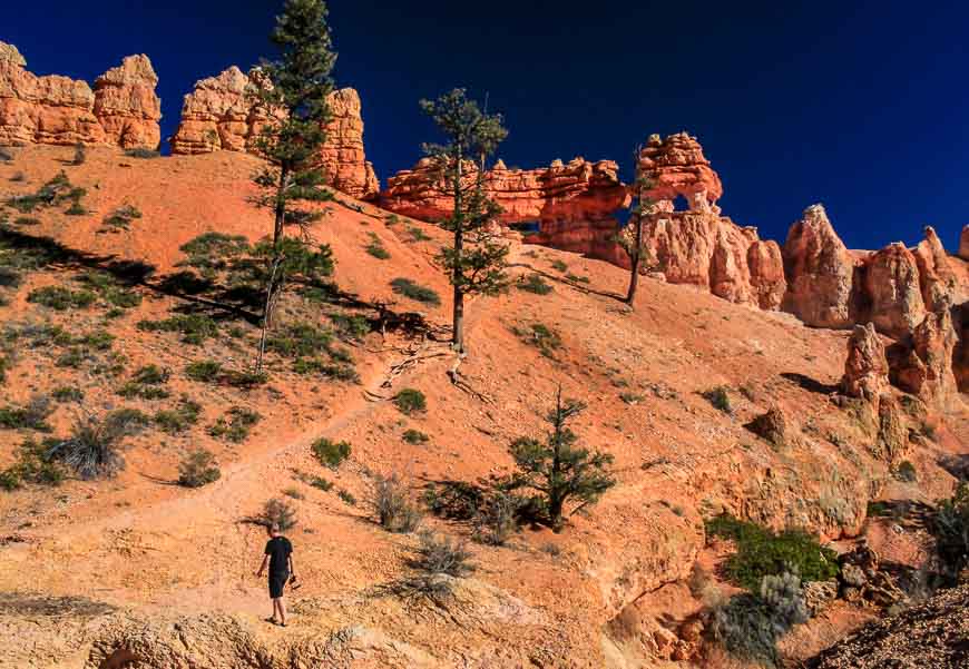 Spectacular scenery in Bryce Canyon National Park