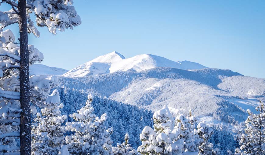 The view of Moose Mountain from Ranger Summit