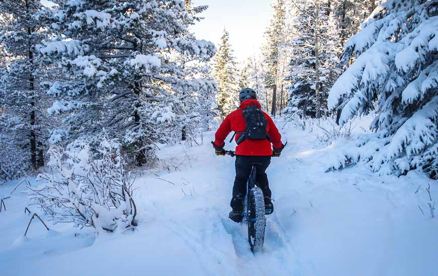 We did see one fat tire biker on the West Bragg Creek trails