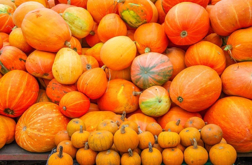 All sizes of pumpkins for sale seen on the bus ride from hell