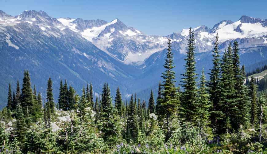 Great hiking in the high alpine above Whistler