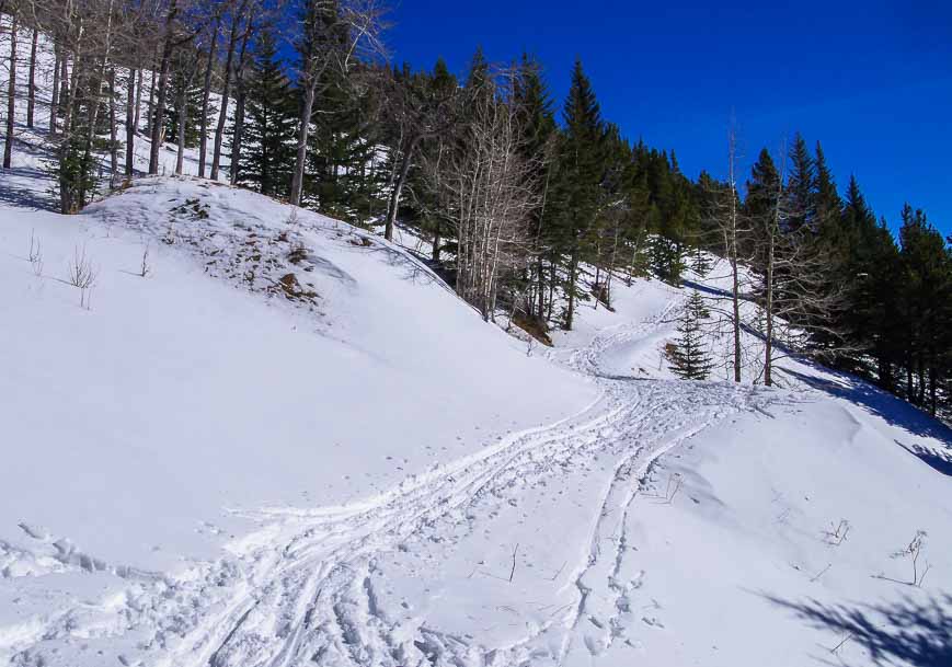 Out of the trees and into this open area