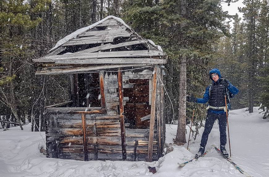 The Hummingbird Plume Cabin is barely standing