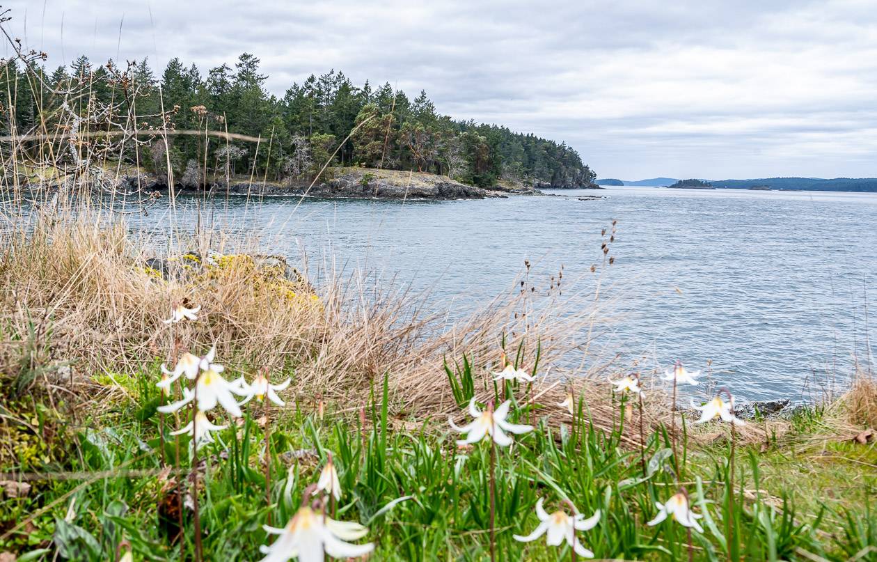 Beautiful Ruckle Provincial Park in spring