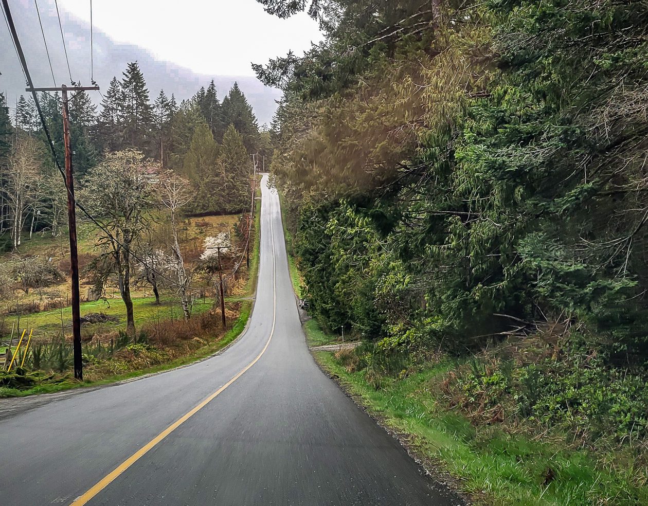 This is a view heading south on Robinson Road towards Long Harbour Road - note how narrow the road is