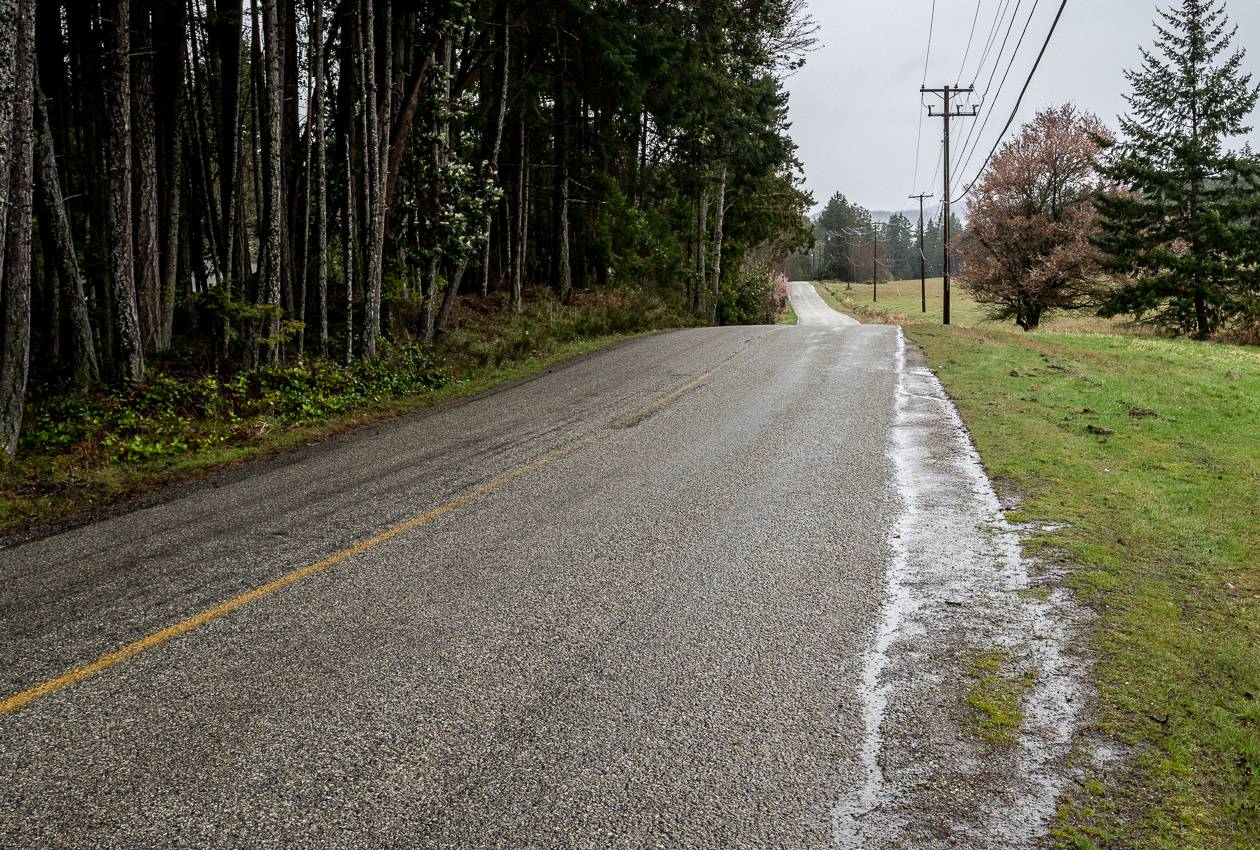 This is what Sunset Drive looks like at the north end of Salt Spring Island