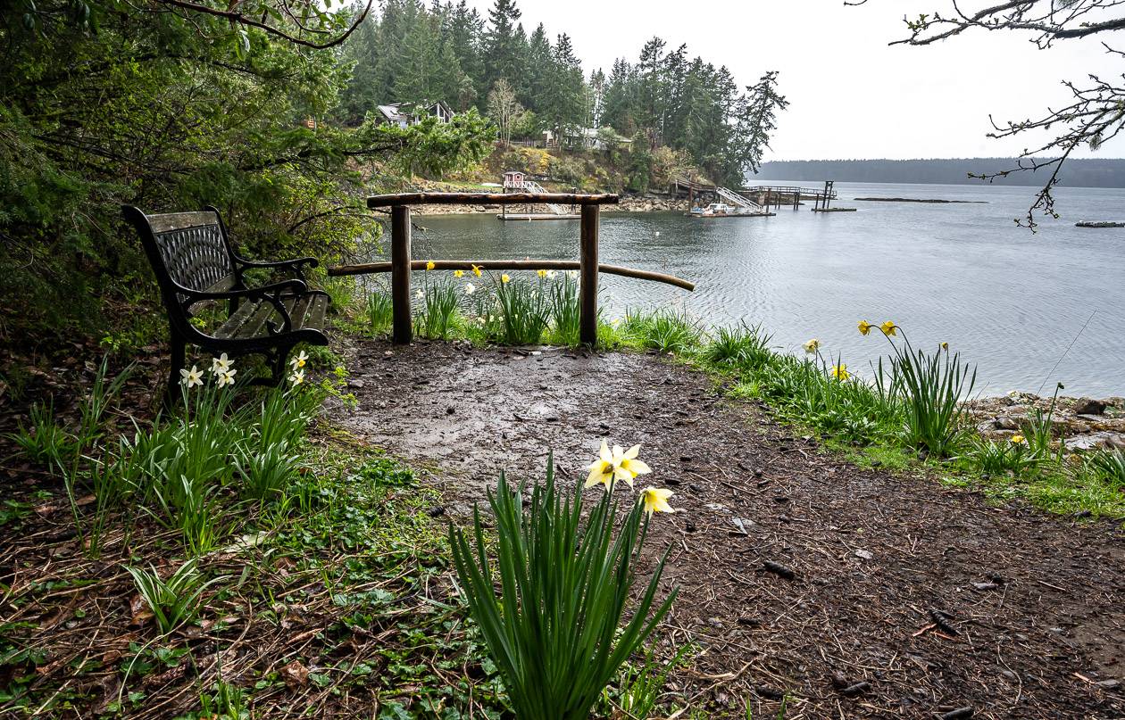 Bench and water access at the tip of Southey Point Road