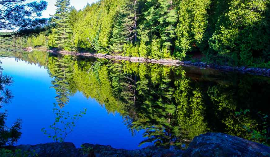 Morning reflection right outside my tent door