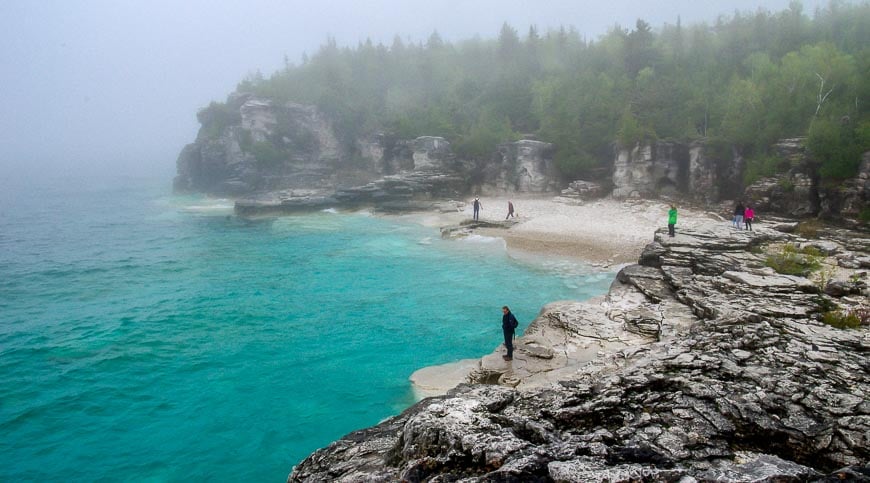 bruce peninsula national park wildlife