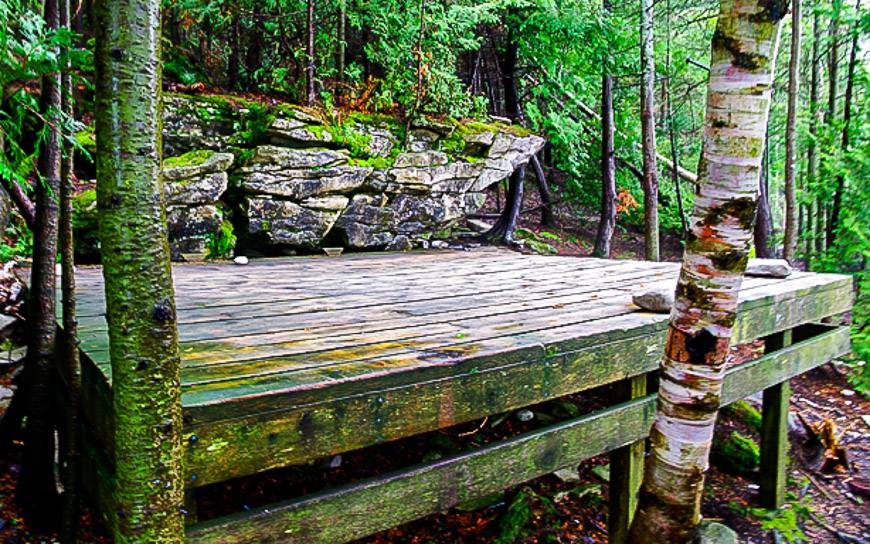 Tent pads in Bruce Peninsula National Park are well built