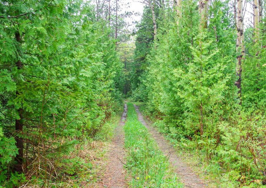 Through the woods on the Bruce Trail to a lovely section along the coast of the Georgian Bay