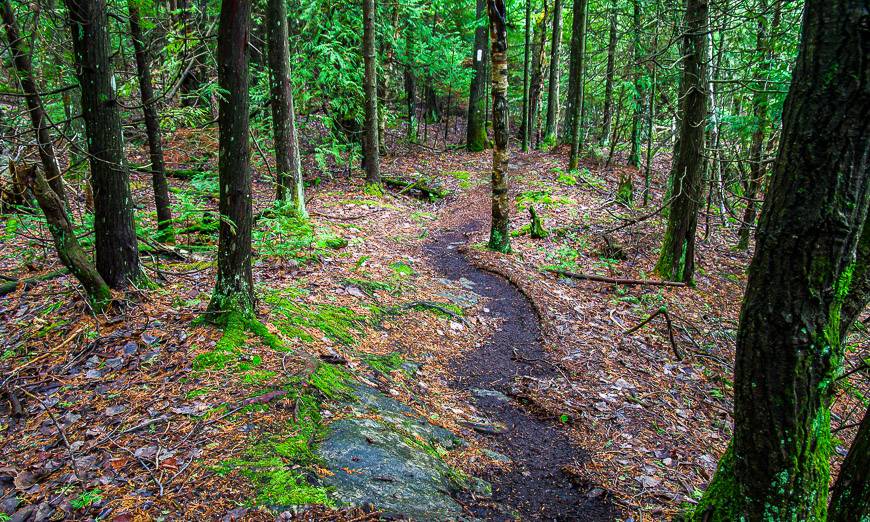 Trail is easy to see after the rains