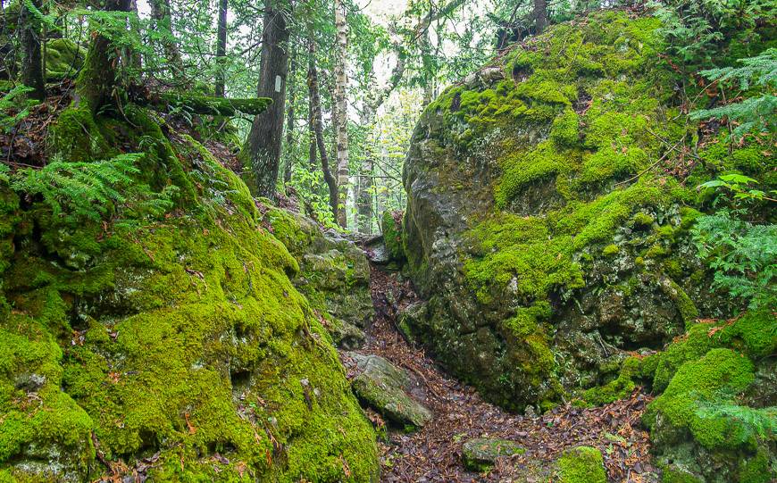 Hiking in Bruce Peninsula is rough going at times especially with lots of holes in the rock