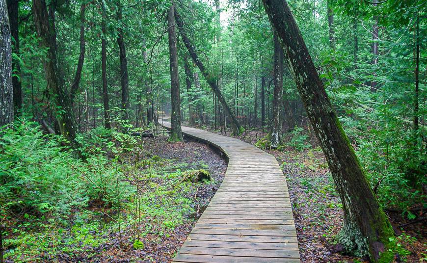 Some easy hiking on boardwalks in the park