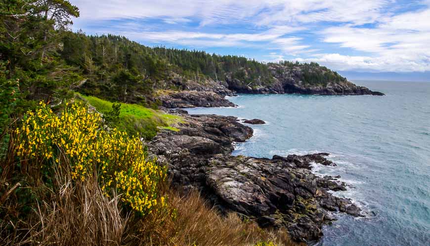 Near the southern end of the Coast Trail in East Sooke Park