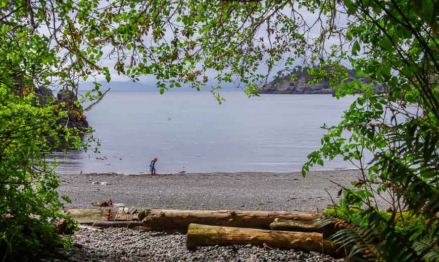 The first glimpse of the beach at Iron Mine Bay