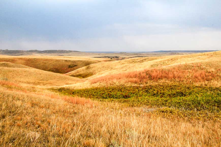 Big vistas, quiet spaces in Grasslands