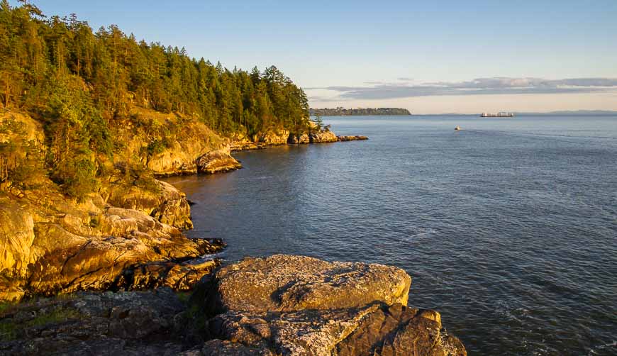 are dogs allowed at lighthouse park