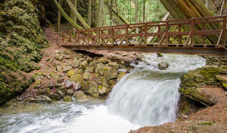 Beautiful forest walk to Margaret Falls