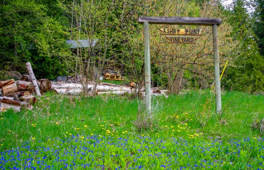 Entrance to the Ashby Point Vineyard