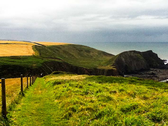 Quite the contrasts in the colour of the fields