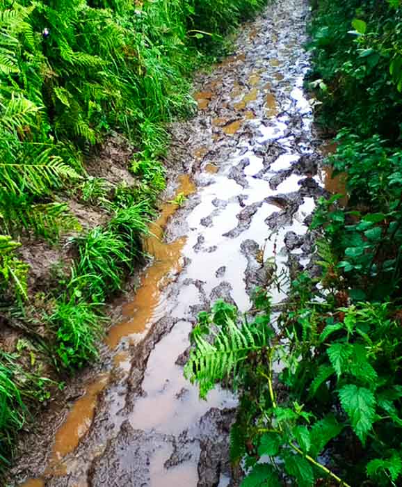 Mud galore on the Southwest Coast Path