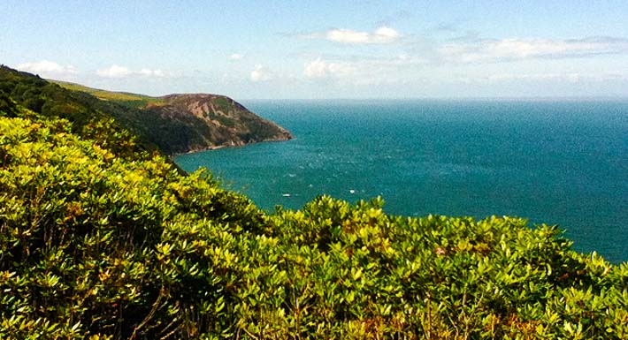 From the Southwest Coast Path the sea is a Caribbean blue on a sunny day