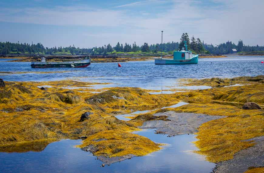 Love the palette of colours in Blue Rocks