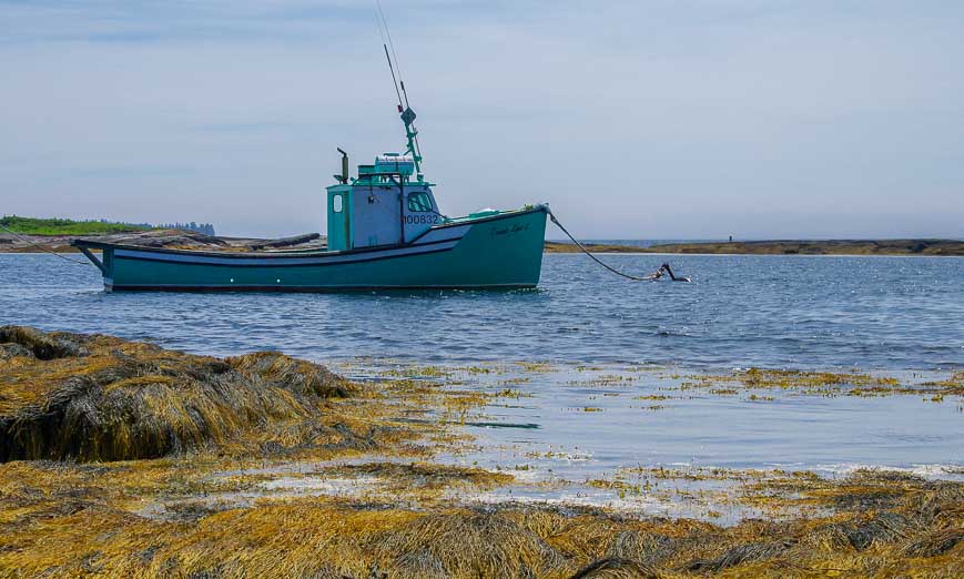 Fishing boat at anchor