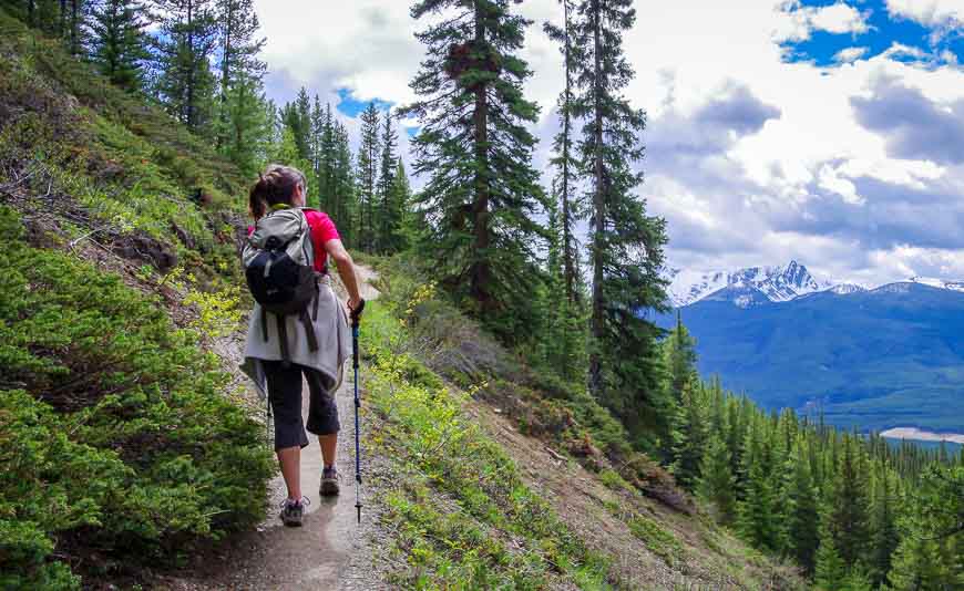 After 40 minutes of hiking the Castle Mountain Lookout hike the views open up