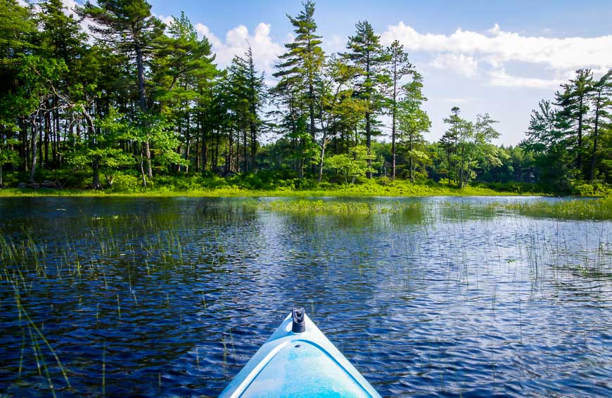 Lots of islands filled with beautiful pine trees