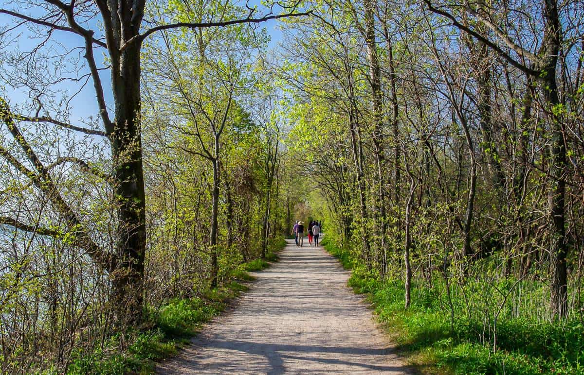 You'll hear a lot of bird song on a spring hike