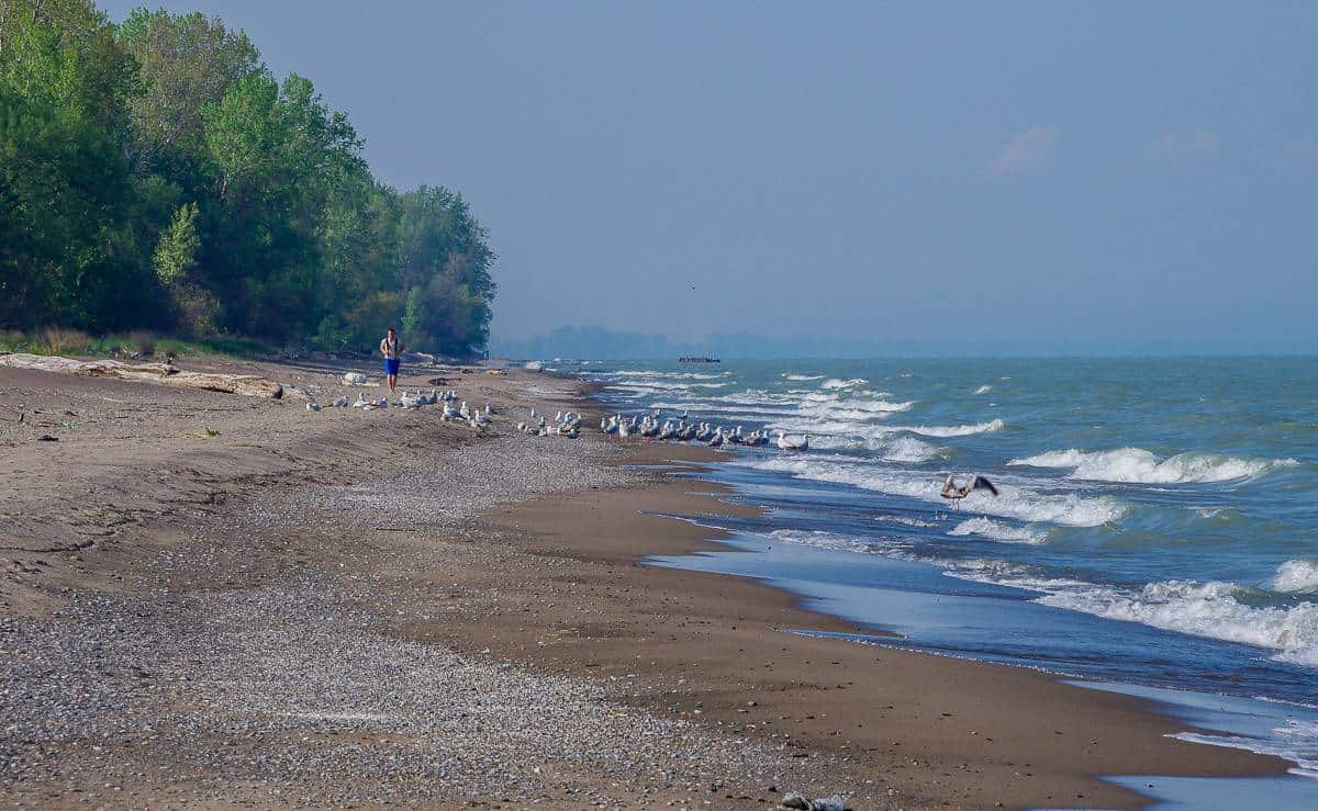 It's enjoyable walking the beaches in Point Pelee