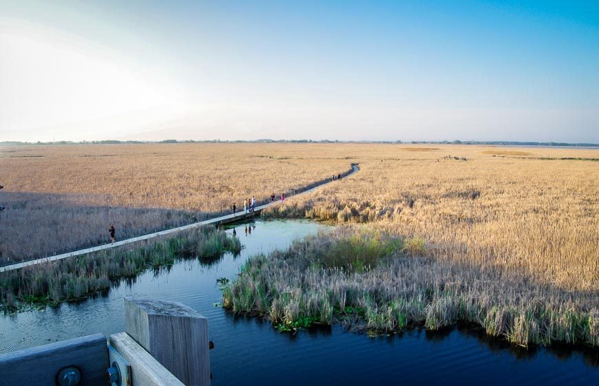 Aerial view of the marshlands from the observation tower