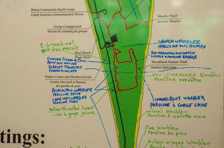One of the daily birding maps you'll see in Point Pelee