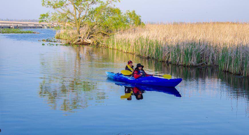 Paddle through the marsh in Point Pelee