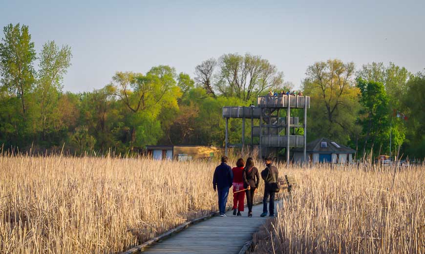 Don't forget to climb the Observation Tower for great views