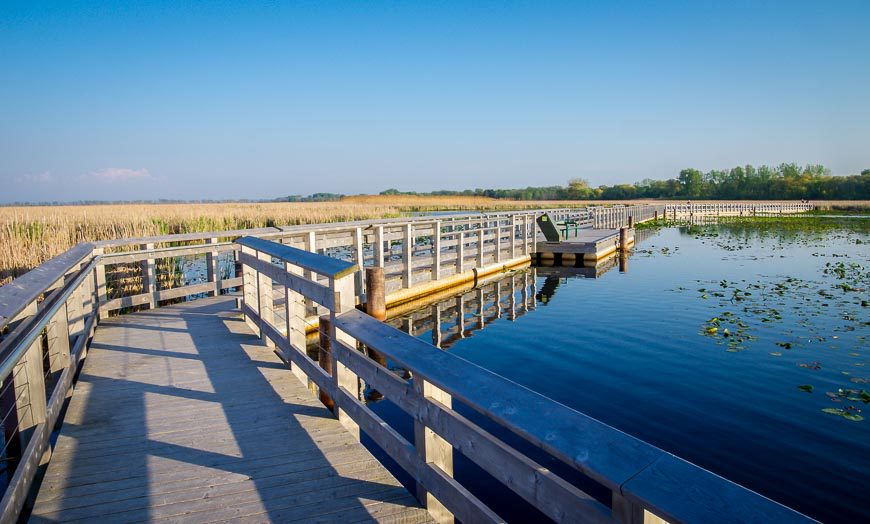 Walking the boardwalk is one of the things to do in Point Pelee