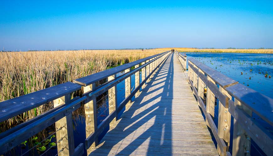 The boardwalk in Point Pelee National Park