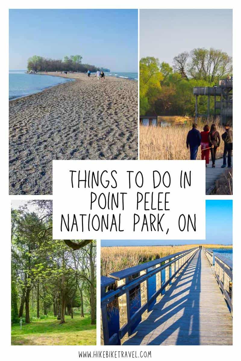 Things to do in Point Pelee National Park, Ontario