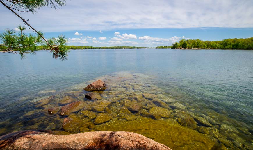 Thanks to zebra mussels the water is super clear in the Thousand Islands