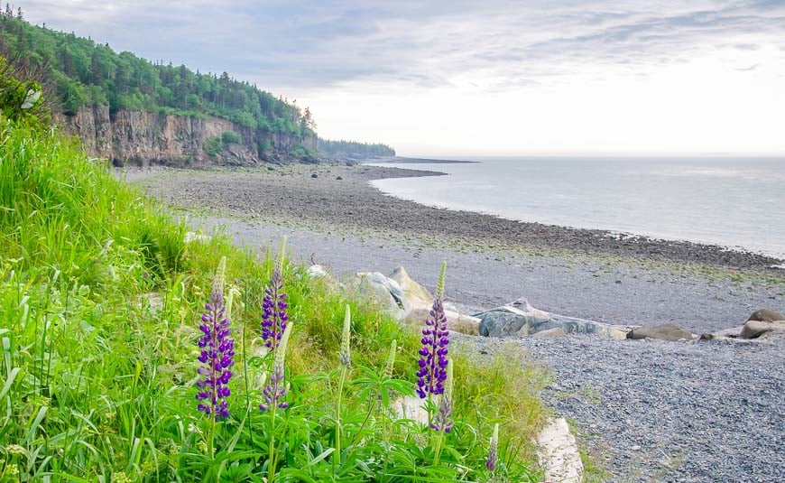 The beach at Halls Harbour at low tide