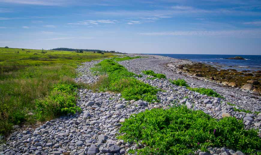 Tough walking on this cobbled section of beach