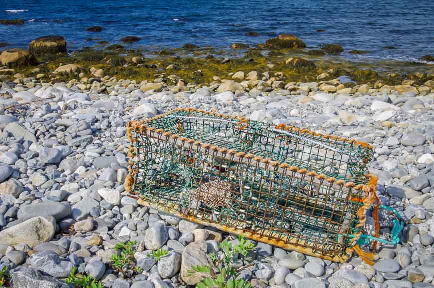 No shortage of lobster traps washed up on the beach