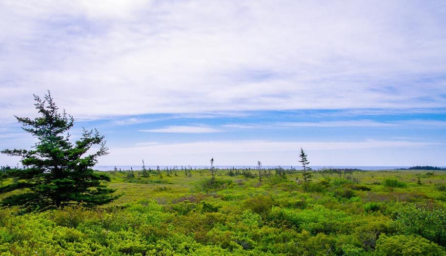 Kejimkujik National Park Seaside landscape near the ocean