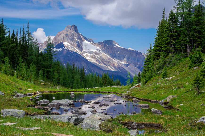 Hiking by this small lake on the East Opabin Trail - part of the Lake O'Hara alpine hike