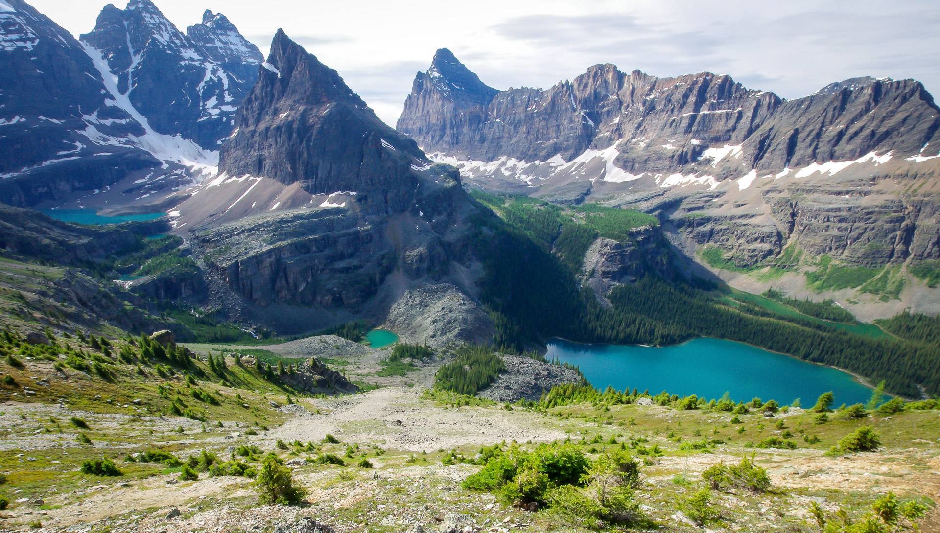 Lake O'Hara alpine hike in Yoho National Park