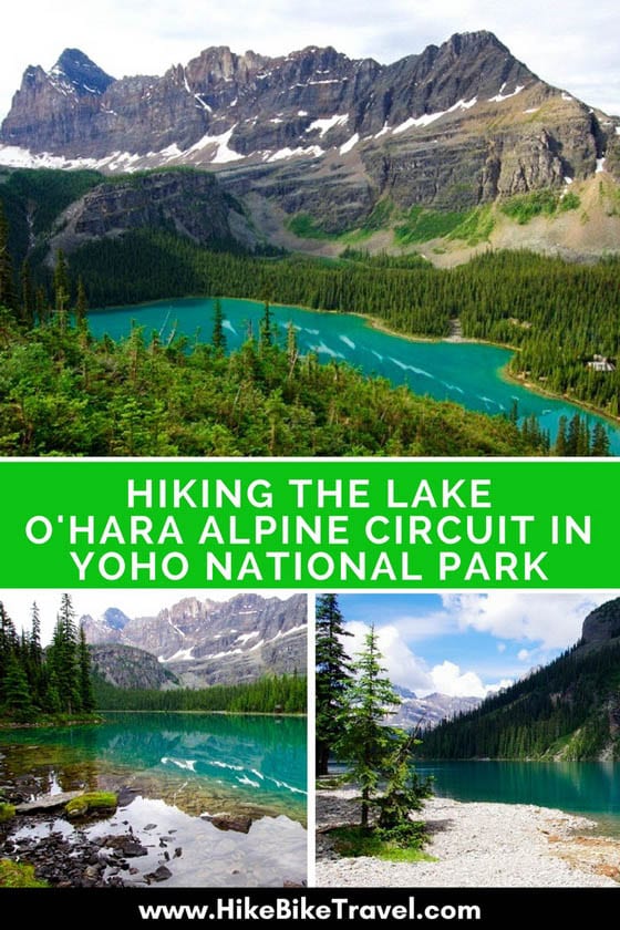 Hiking the Lake O'Hara Alpine Circuit in Yoho National Park