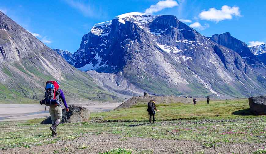 Baffin Island backpacking with beautiful hiking through wildflowers