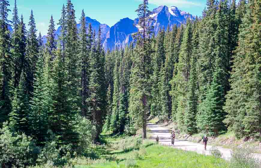 Hiking up the Temple fire road